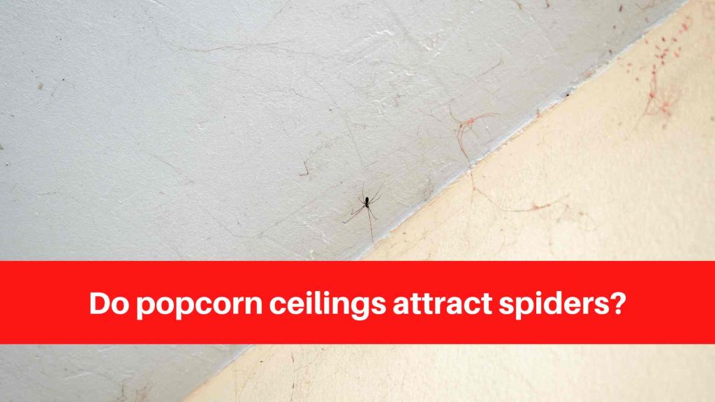 Do popcorn ceilings attract spiders